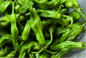 Fresh shishito peppers